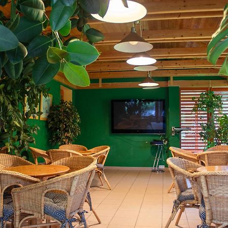 Renerovka 93 Hotel Dolní Malá Úpa Kültér fotó