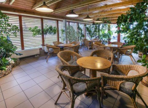Renerovka 93 Hotel Dolní Malá Úpa Kültér fotó