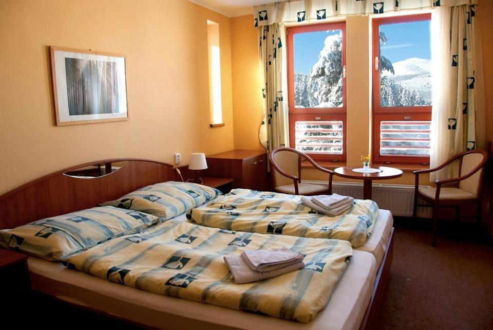 Renerovka 93 Hotel Dolní Malá Úpa Kültér fotó